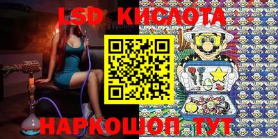 крисы Берёзовский
