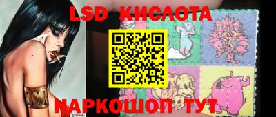 крисы Берёзовский