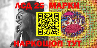 мдпв Бийск