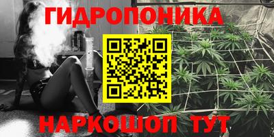 крисы Берёзовский