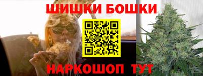 мдпв Бийск