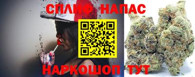 мдпв Бийск