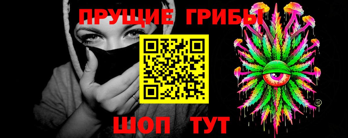Псилоцибиновые грибы Psilocybe Апшеронск