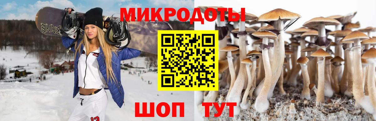 Апшеронск  цена наркотик  Вход с VPN  Псилоцибиновые грибы MAGIC MUSHROOMS  Галлюциногенные грибы Psilocybine cubensis 